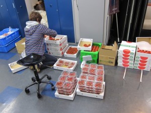 �摜(300x225)�E�g��摜(640x480)