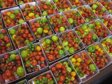 �摜(435x326)�E�g��摜(640x480)