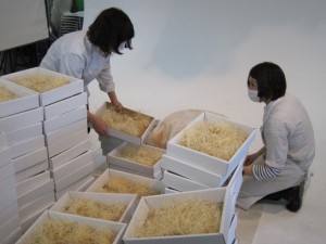 �摜(300x225)�E�g��摜(640x480)