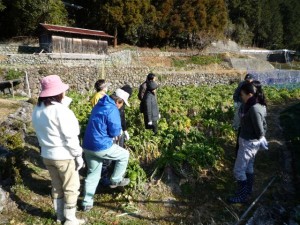 �摜(300x225)�E�g��摜(640x480)