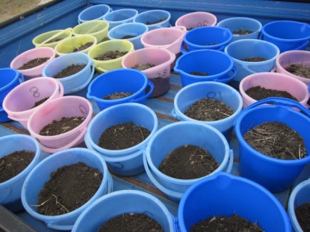 �摜(435x326)�E�g��摜(640x480)