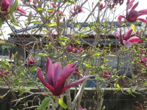 �摜(300x225)�E�g��摜(640x480)