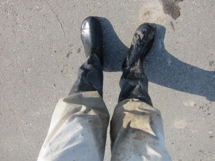 �摜(435x326)�E�g��摜(640x480)