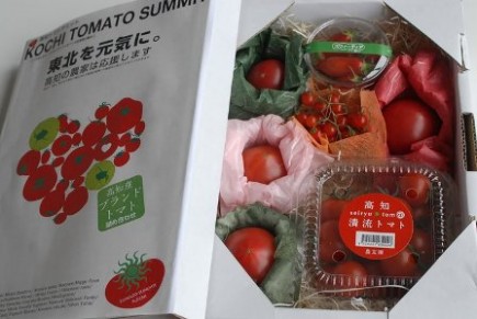 �摜(435x291)�E�g��摜(448x300)