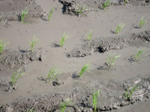 �摜(300x225)�E�g��摜(640x480)