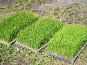 �摜(300x225)�E�g��摜(640x480)