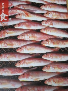 �摜(225x300)�E�g��摜(480x640)