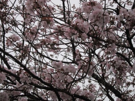 �摜(435x326)�E�g��摜(640x480)