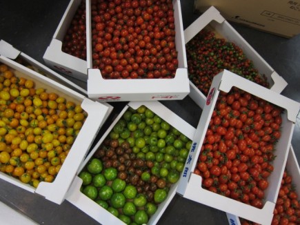 �摜(435x326)�E�g��摜(640x480)