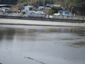 �摜(300x225)�E�g��摜(640x480)