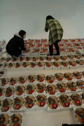 �摜(291x435)�E�g��摜(429x640)