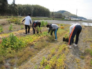 �摜(300x225)�E�g��摜(640x480)