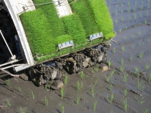 �摜(300x225)�E�g��摜(640x480)