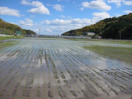 �摜(435x326)�E�g��摜(640x480)