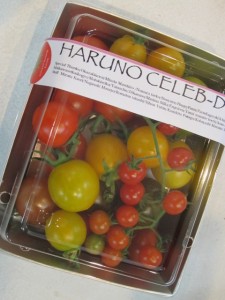 �摜(225x300)�E�g��摜(480x640)