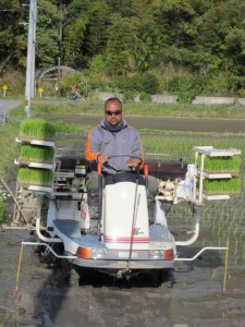 �摜(225x300)�E�g��摜(480x640)