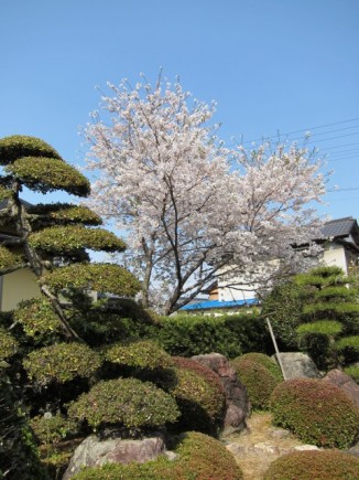 �摜(326x435)�E�g��摜(480x640)