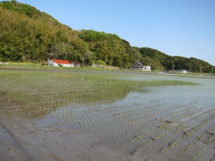 �摜(435x326)�E�g��摜(640x480)