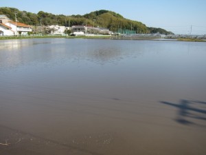 �摜(300x225)�E�g��摜(640x480)