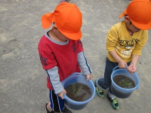 �摜(300x225)�E�g��摜(640x480)