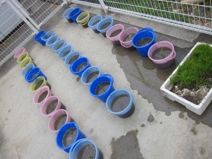 �摜(435x326)�E�g��摜(640x480)