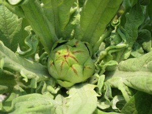 �摜(300x225)�E�g��摜(640x480)