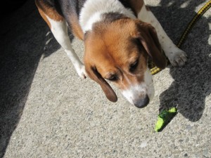 �摜(300x225)�E�g��摜(640x480)