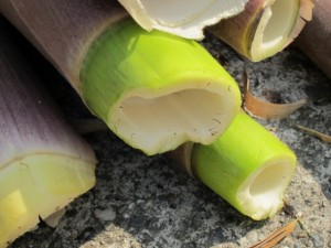 �摜(300x225)�E�g��摜(640x480)