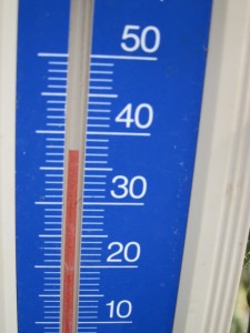 �摜(225x300)�E�g��摜(480x640)