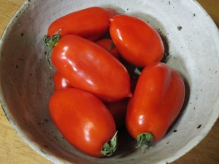 �摜(435x326)�E�g��摜(640x480)