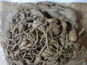 �摜(300x225)�E�g��摜(640x480)