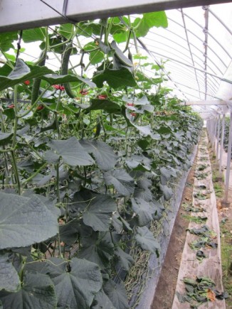 �摜(326x435)�E�g��摜(480x640)