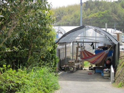 �摜(435x326)�E�g��摜(640x480)