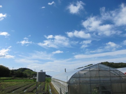 画像(435x326)・拡大画像(640x480)