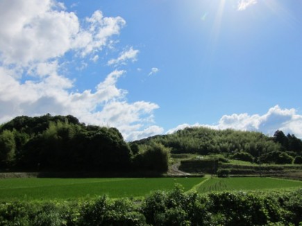 画像(435x326)・拡大画像(640x480)