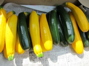 �摜(300x225)�E�g��摜(640x480)