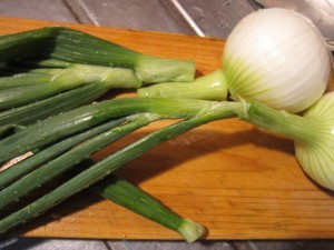 �摜(300x225)�E�g��摜(640x480)