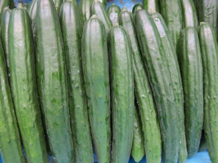 �摜(435x326)�E�g��摜(640x480)