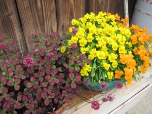 �摜(300x225)�E�g��摜(640x480)