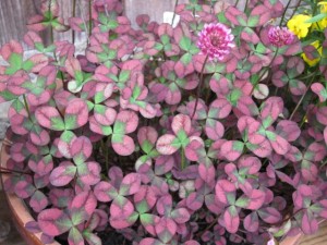 �摜(300x225)�E�g��摜(640x480)