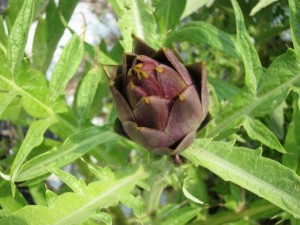 �摜(300x225)�E�g��摜(640x480)