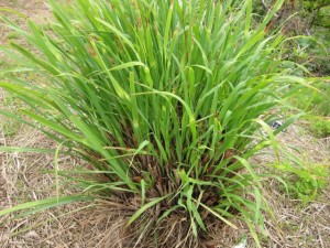 �摜(300x225)�E�g��摜(640x480)