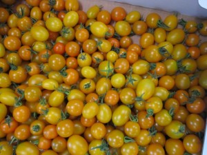 �摜(300x225)�E�g��摜(640x480)