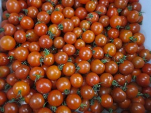 �摜(300x225)�E�g��摜(640x480)