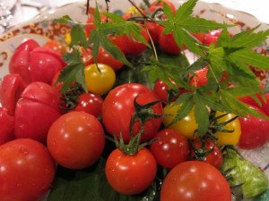 画像(300x225)・拡大画像(640x480)