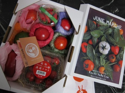 画像(435x326)・拡大画像(640x480)