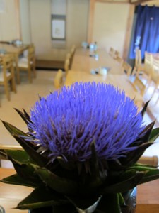 画像(225x300)・拡大画像(255x340)