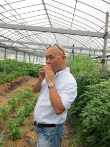 画像(225x300)・拡大画像(480x640)