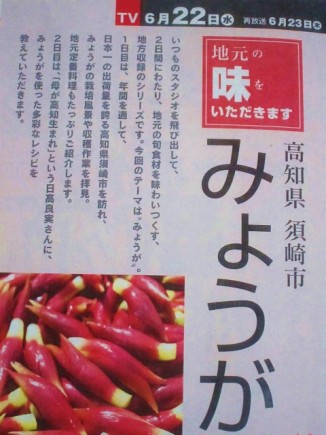 画像(326x435)・拡大画像(480x640)