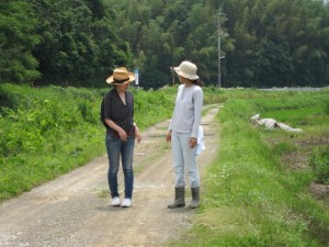 画像(300x225)・拡大画像(640x480)